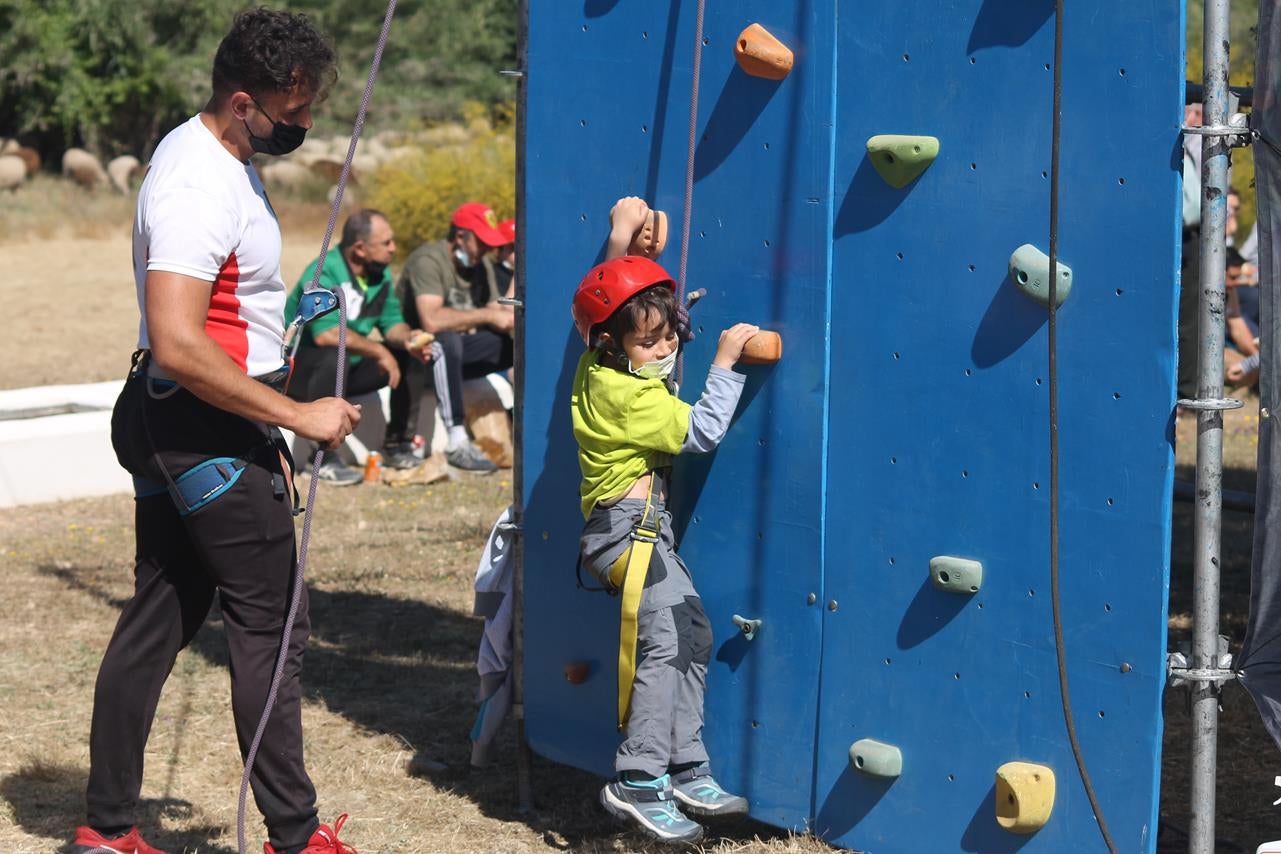 Fotos: X ‘Vive la Trashumancia’ (V)