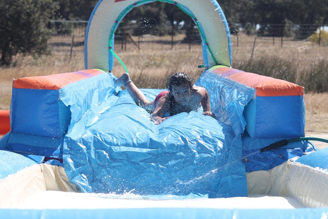 Fotos: X ‘Vive la Trashumancia’ (V)