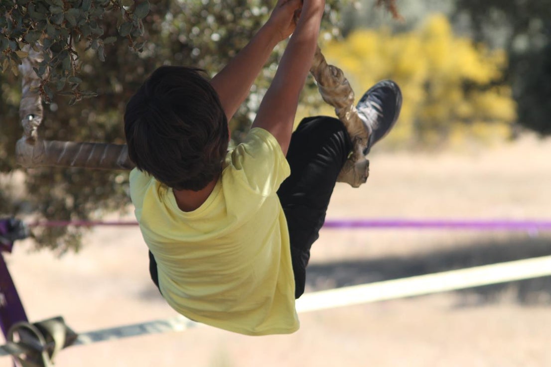 Fotos: X ‘Vive la Trashumancia’ (V)