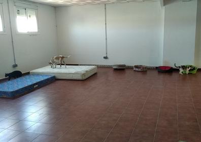 Imagen secundaria 1 - Imágenes del refugio