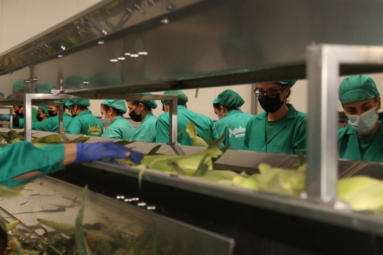 Fotos: Inauguración de Artealca Corn (II)