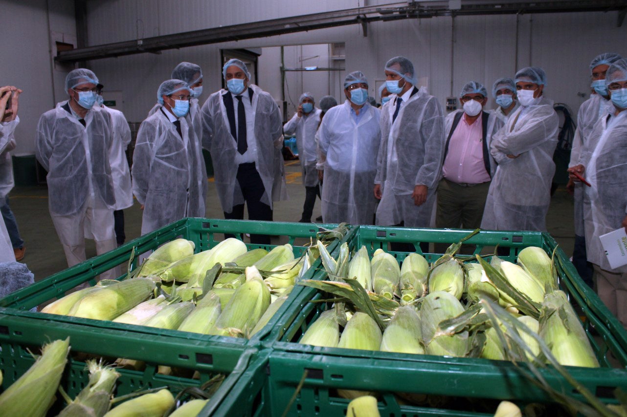 Fotos: Inauguración de Artealca Corn (I)