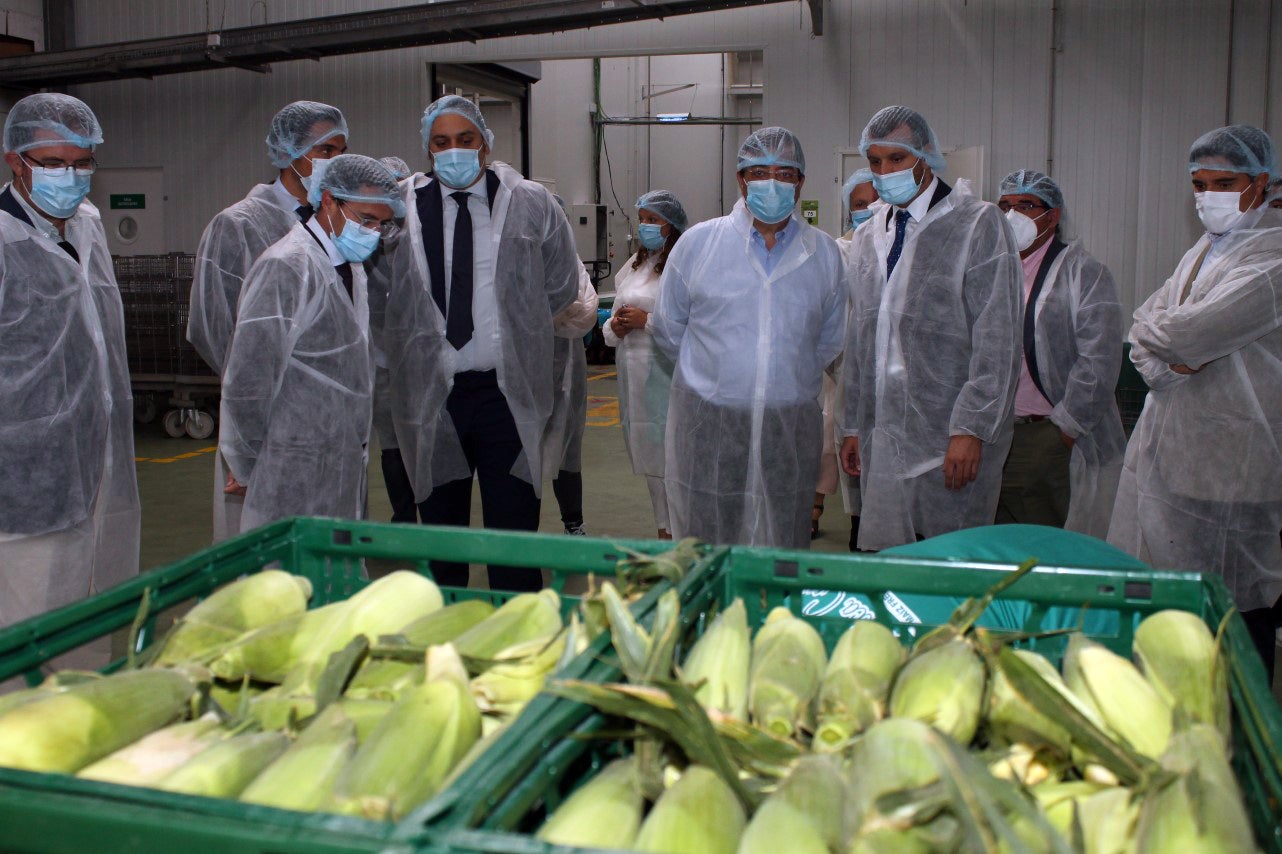 Fotos: Inauguración de Artealca Corn (I)