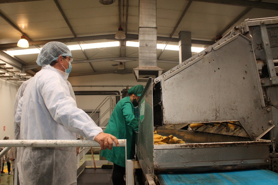 Fotos: Inauguración de Artealca Corn (I)