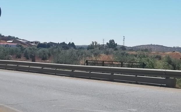 Paisaje de la zona sin el árbol