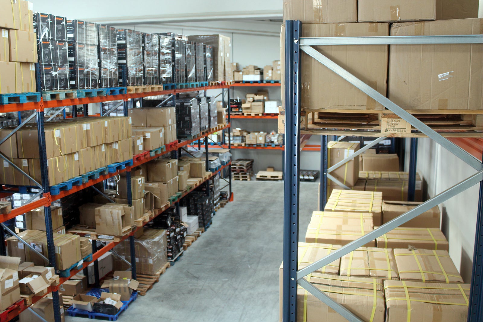 Fotos: Visita a Tradingall Daspi Italy