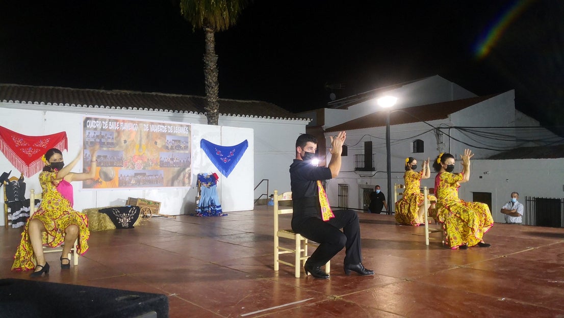 Fotos: Actuación del Grupo de Flamenco y Sevillanas