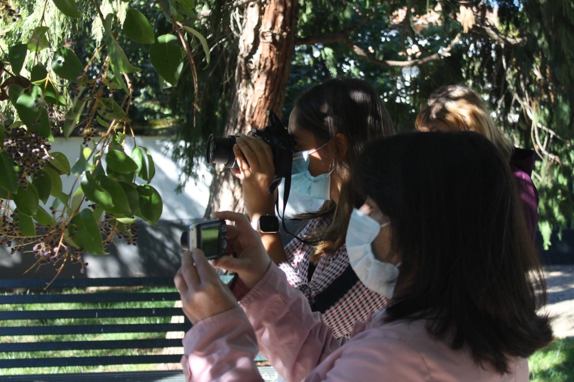 Fotos: IV ValverARTEX (III)