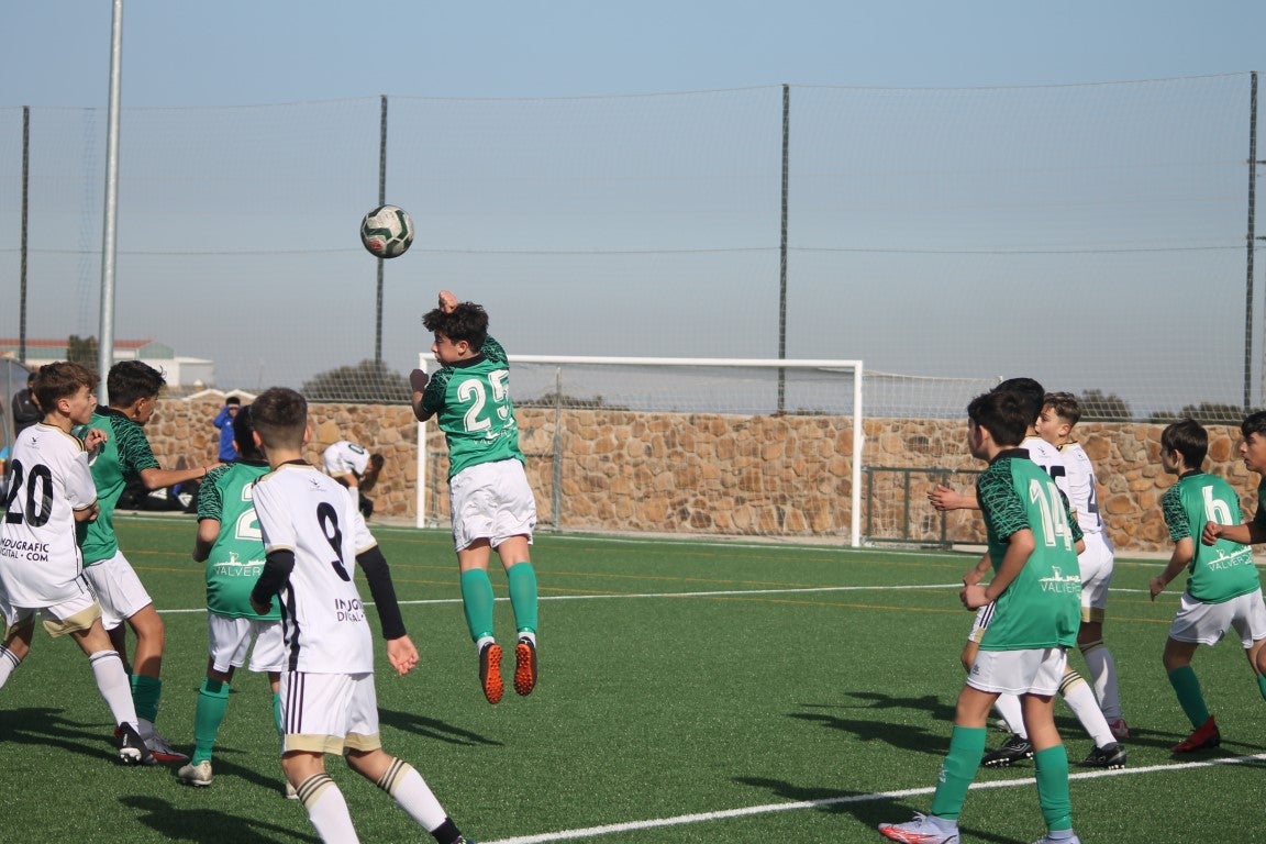 Fotos: Infantiles - CD Badajoz B