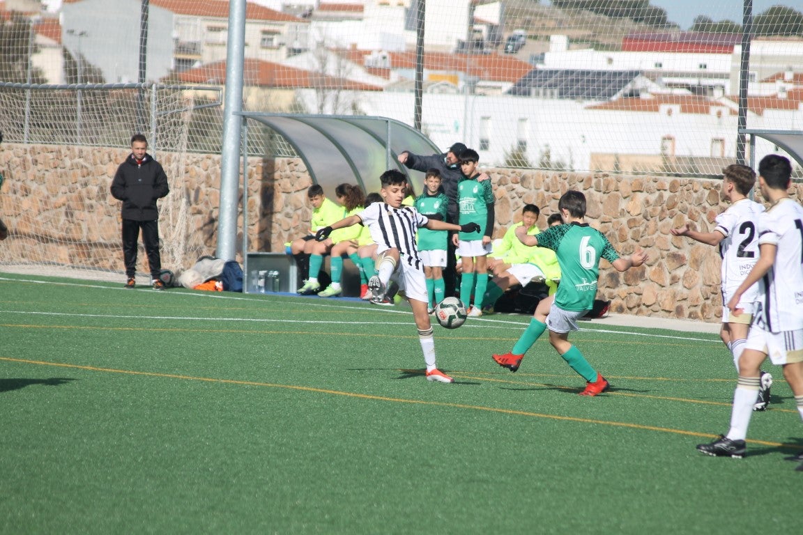 Fotos: Infantiles - CD Badajoz B