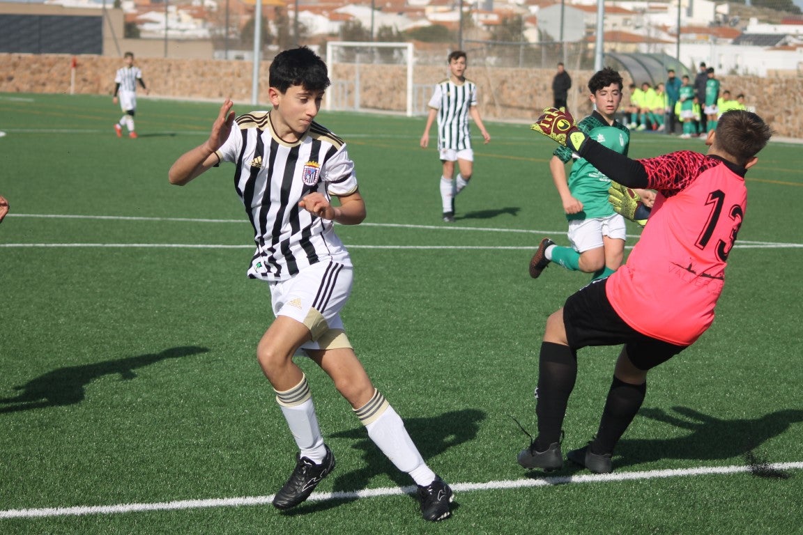 Fotos: Infantiles - CD Badajoz B