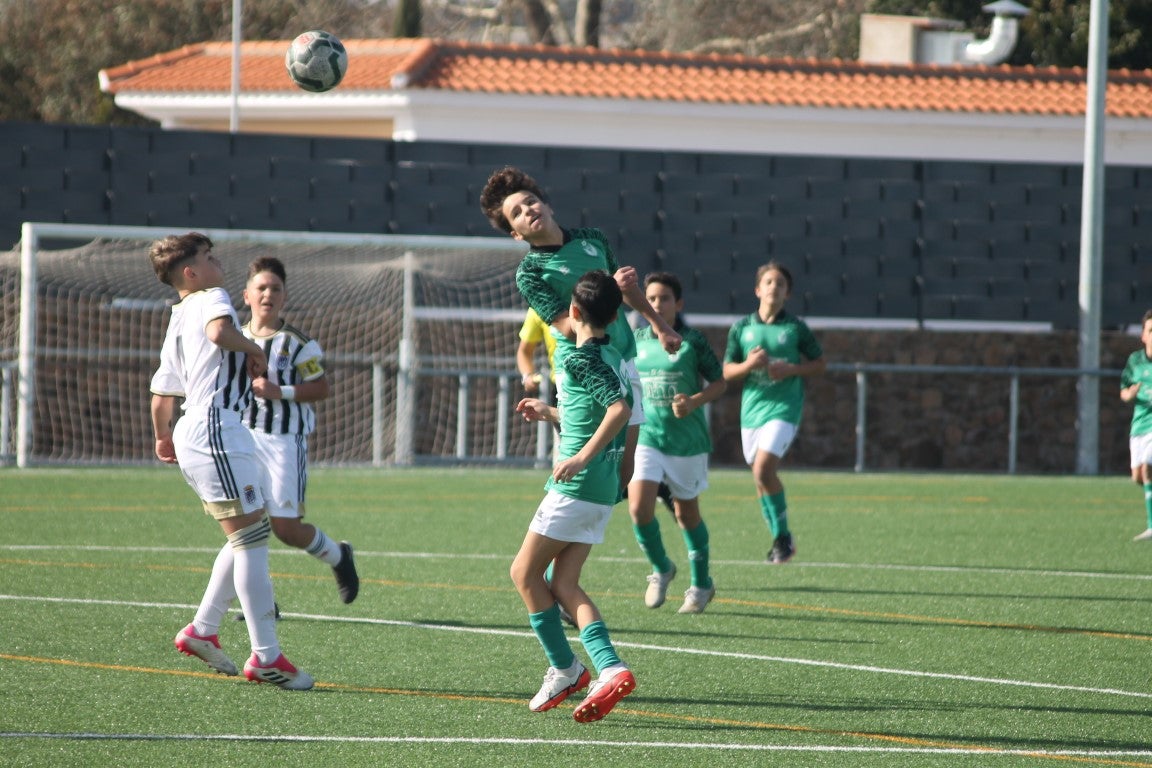 Fotos: Infantiles - CD Badajoz B