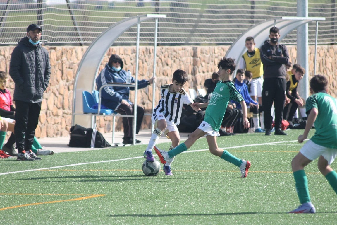 Fotos: Infantiles - CD Badajoz B