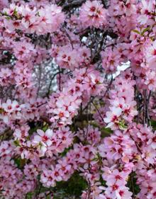 Imagen secundaria 2 - Más imágenes de la actividad