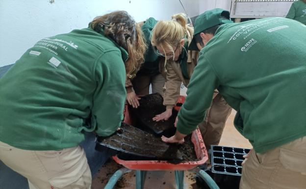 Trabajos realizados en el Colaborativo