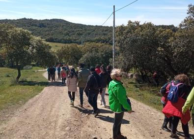 Imagen secundaria 1 - Algunas imágenes de la II Ruta de las Orquídeas silvestres