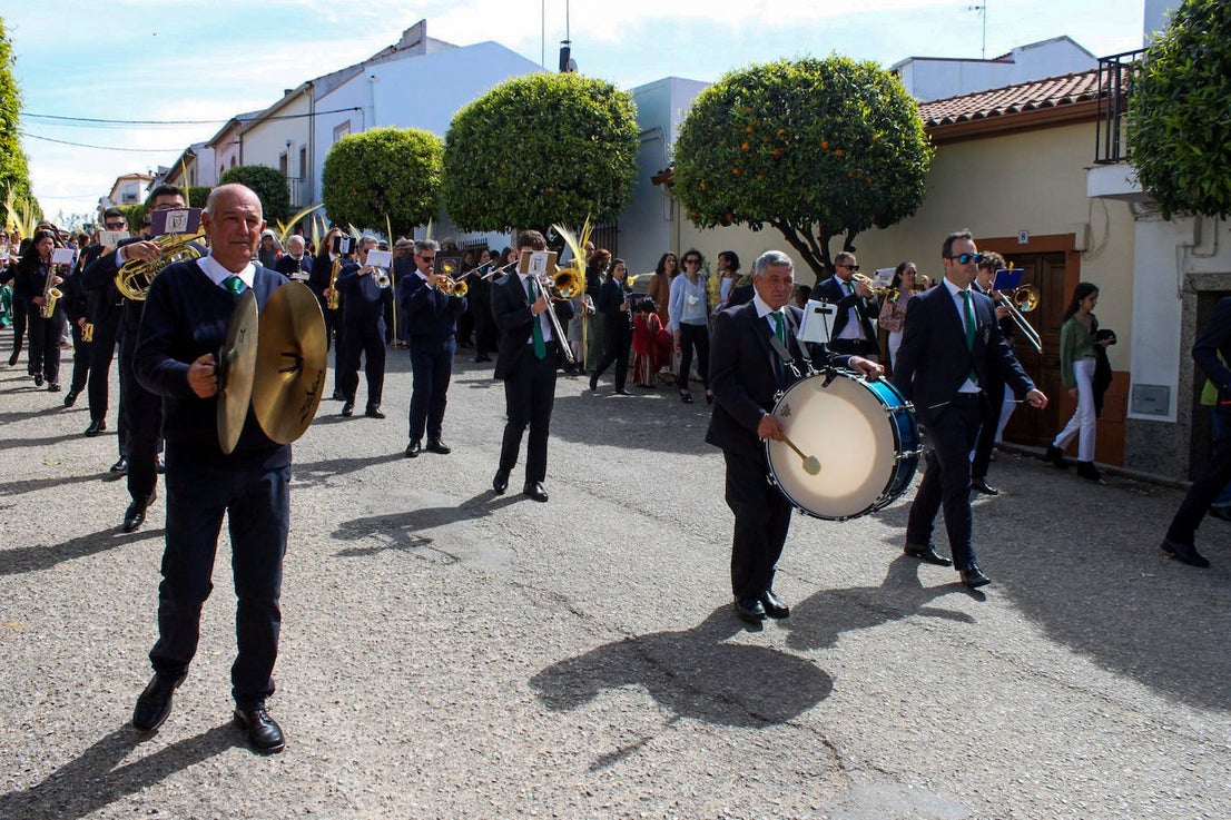 Fotos: Domingo de Ramos