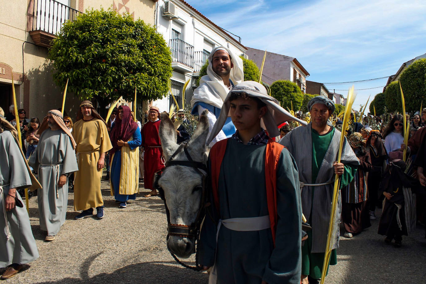Fotos: Domingo de Ramos