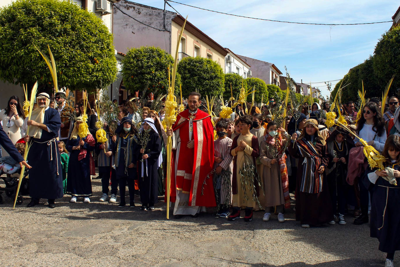 Fotos: Domingo de Ramos