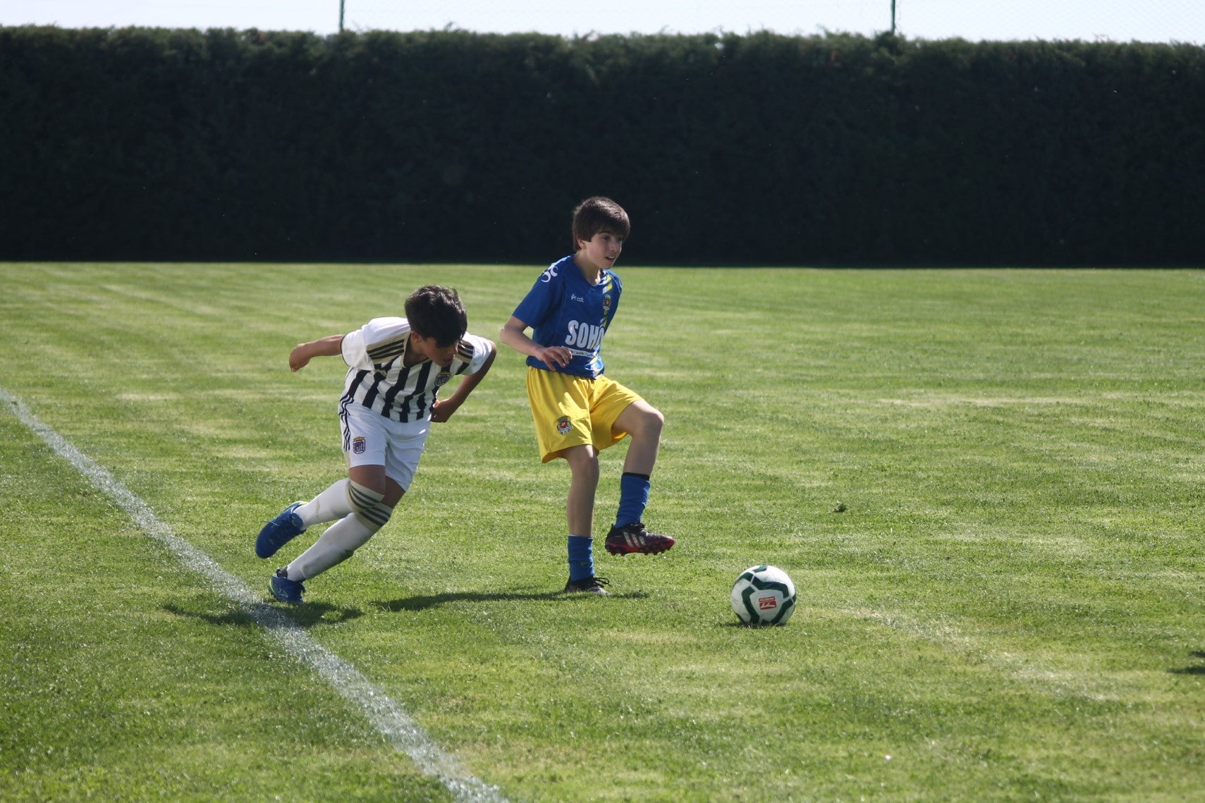 Fotos: I Trofeo Ibérico ‘Villa de Valverde’ (I)