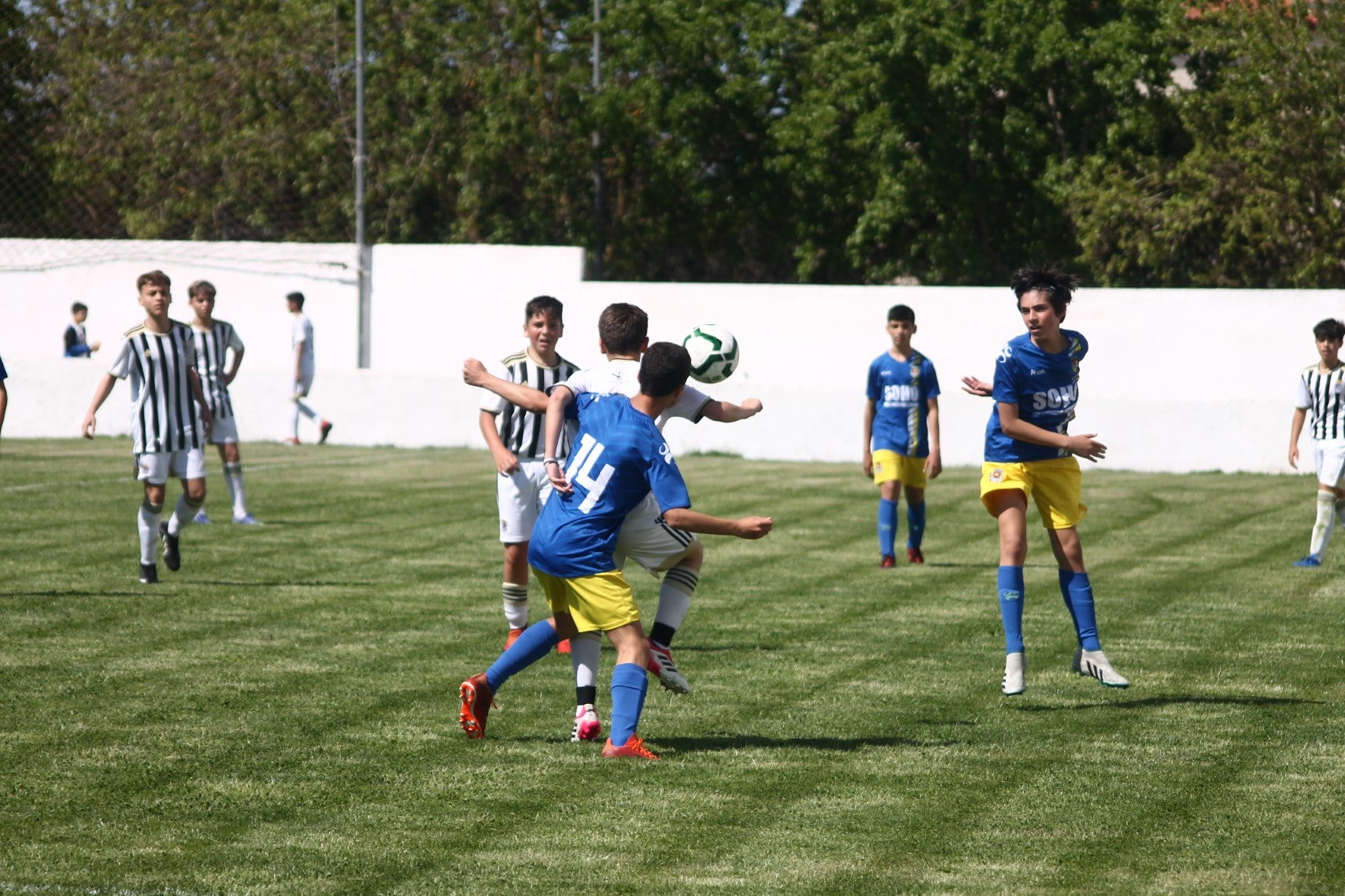 Fotos: I Trofeo Ibérico ‘Villa de Valverde’ (I)