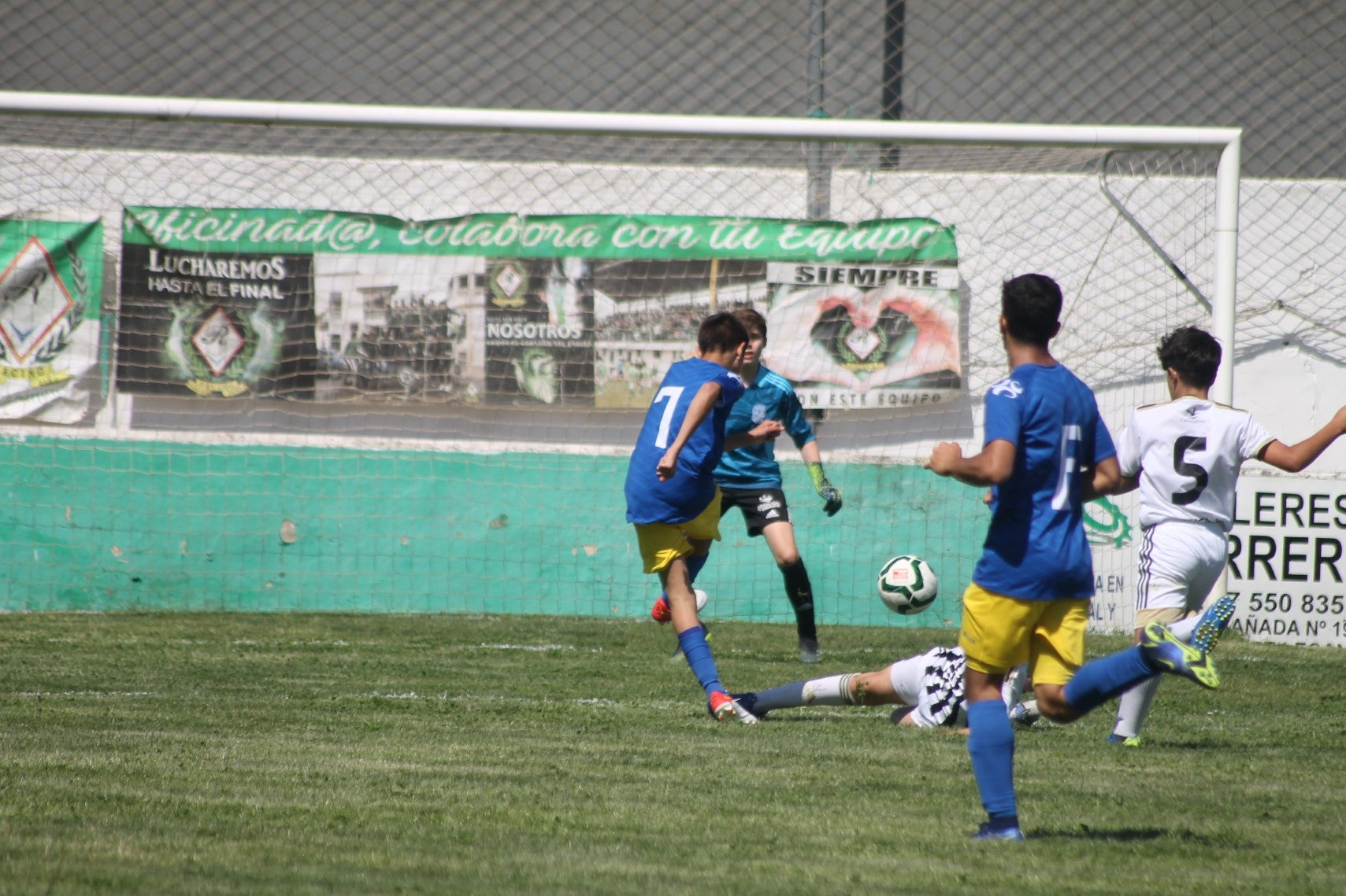 Fotos: I Trofeo Ibérico ‘Villa de Valverde’ (II)