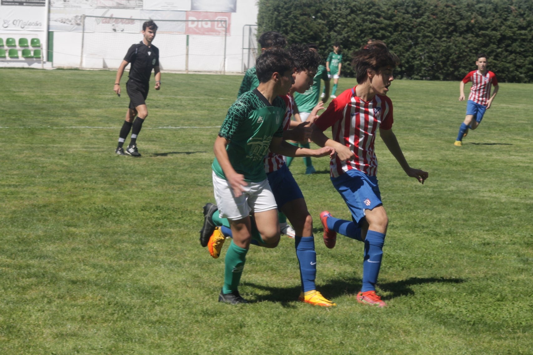 Fotos: I Trofeo Ibérico ‘Villa de Valverde’ (III)