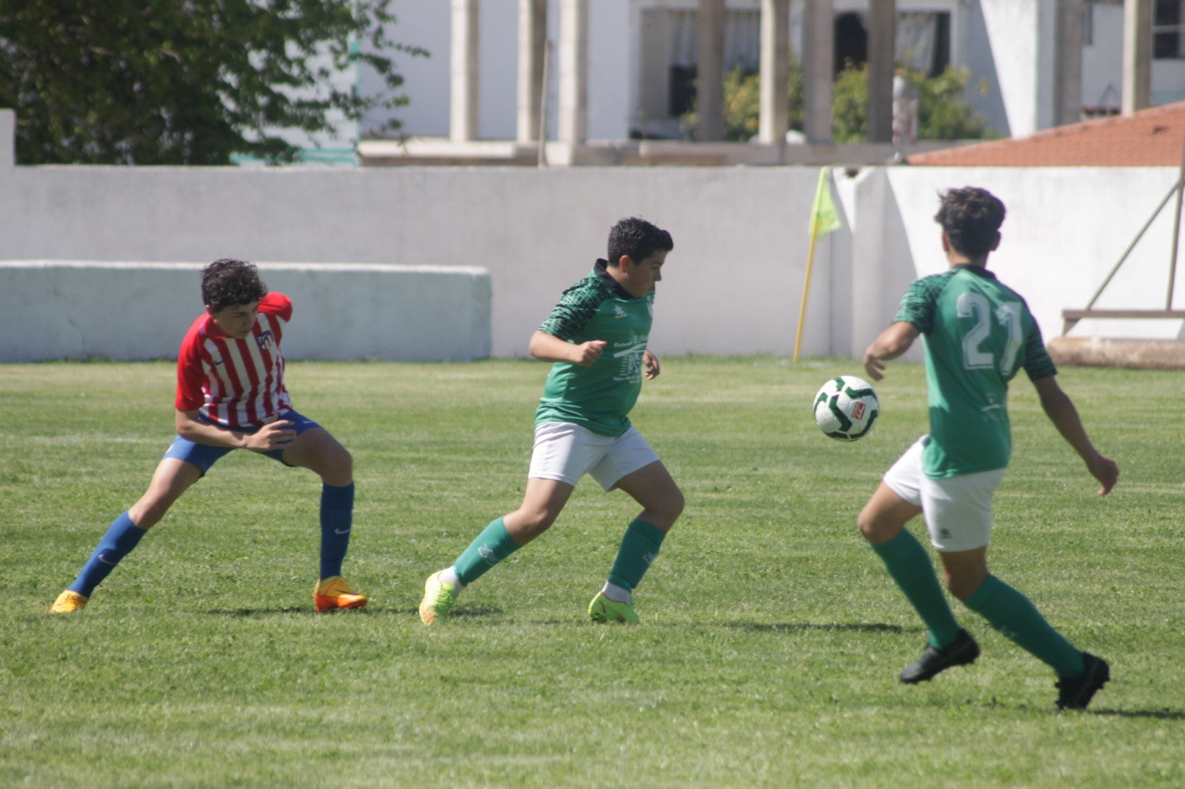 Fotos: I Trofeo Ibérico ‘Villa de Valverde’ (III)