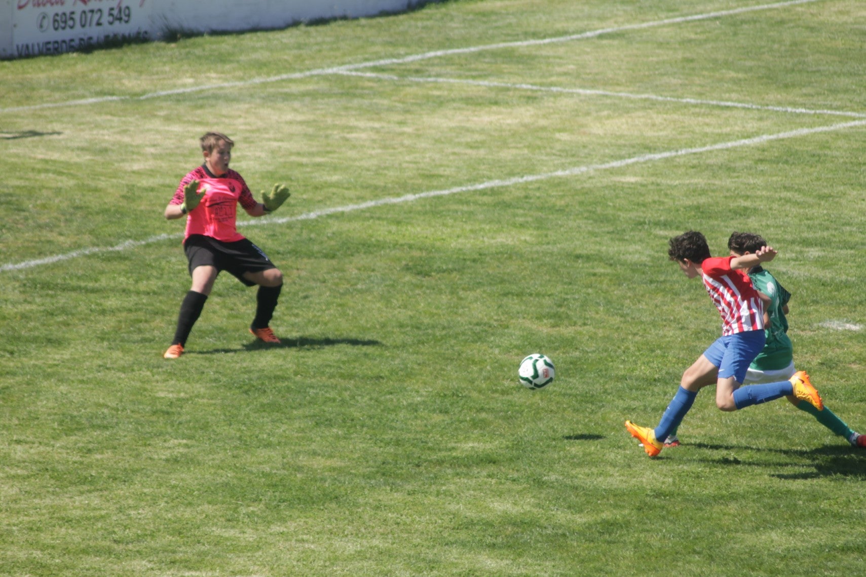 Fotos: I Trofeo Ibérico ‘Villa de Valverde’ (III)