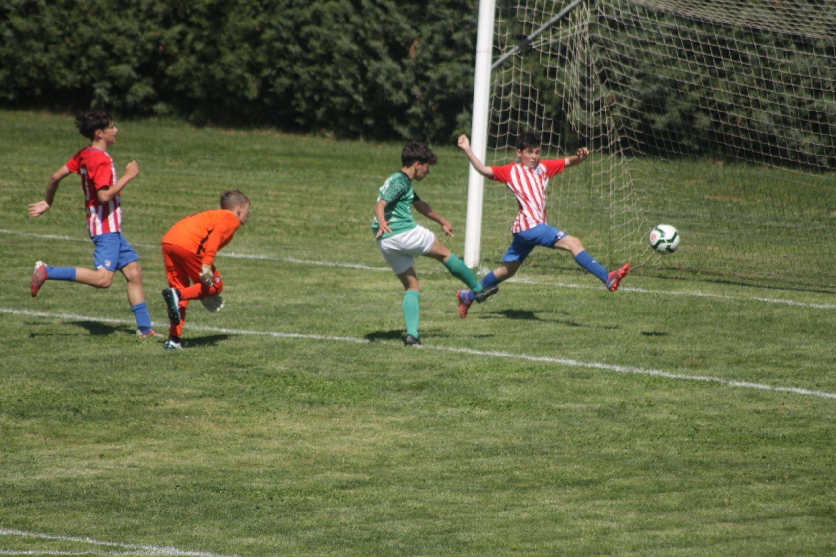 Fotos: I Trofeo Ibérico ‘Villa de Valverde’ (III)