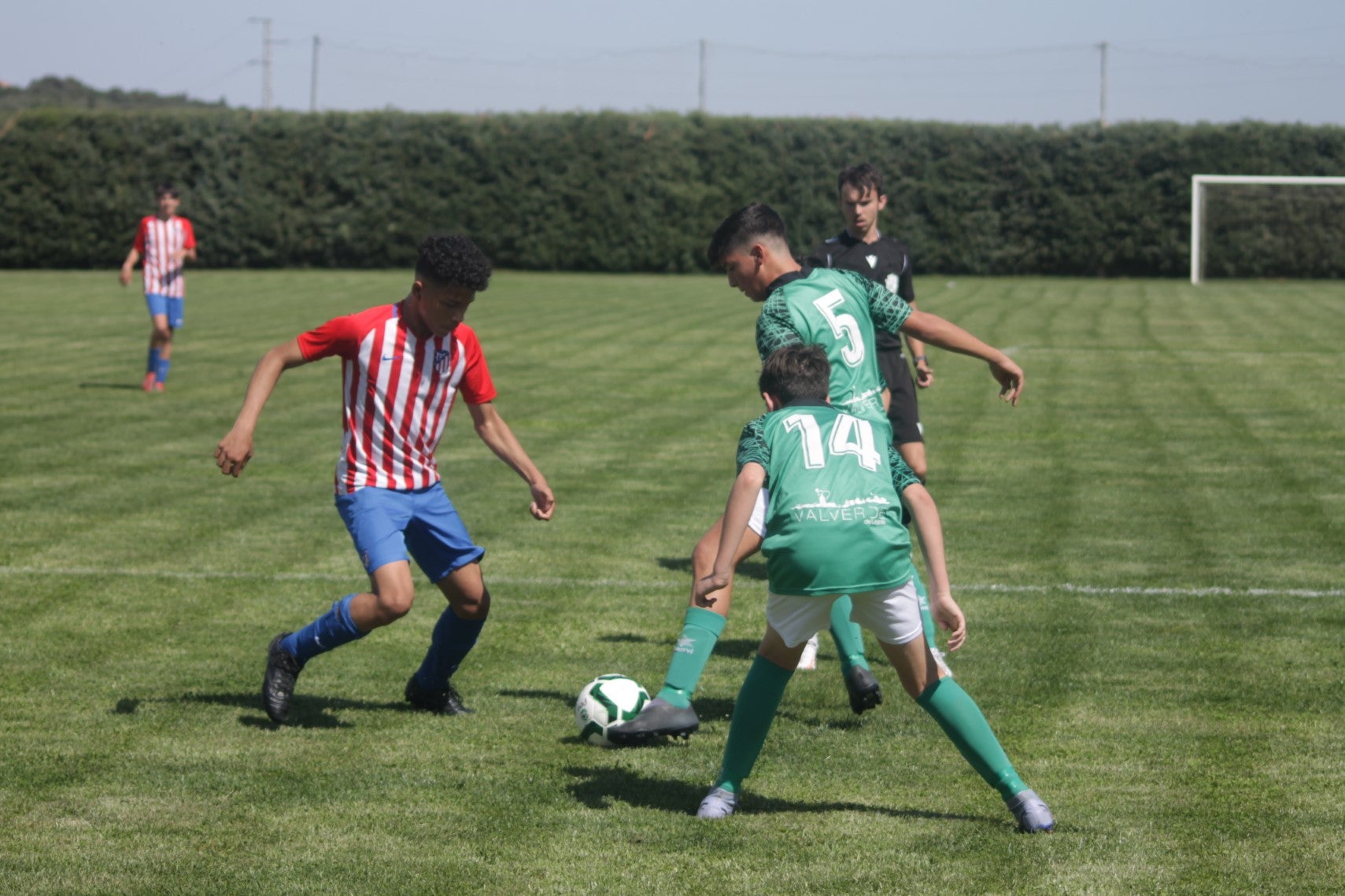 Fotos: I Trofeo Ibérico ‘Villa de Valverde’ (III)