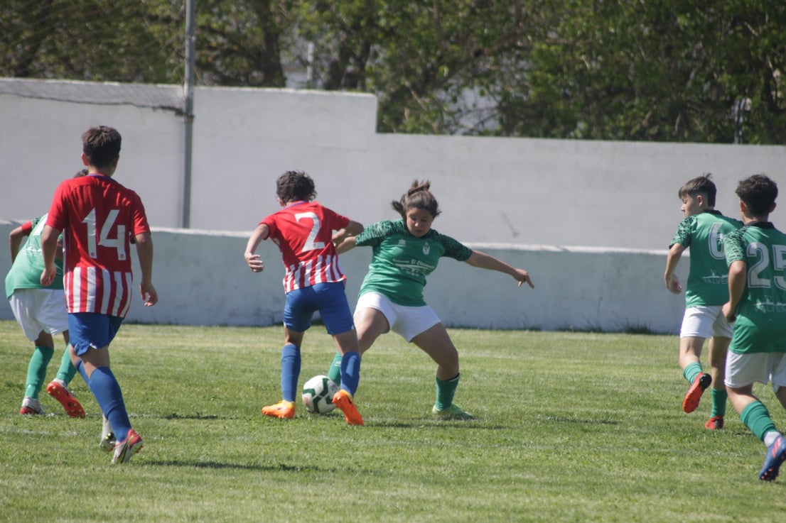 Fotos: I Trofeo Ibérico ‘Villa de Valverde’ (IV)