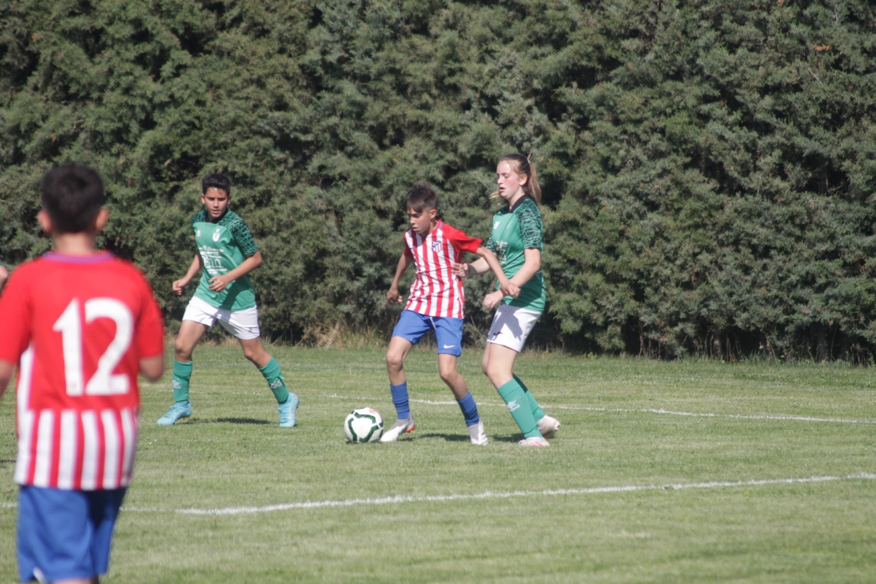 Fotos: I Trofeo Ibérico ‘Villa de Valverde’ (IV)