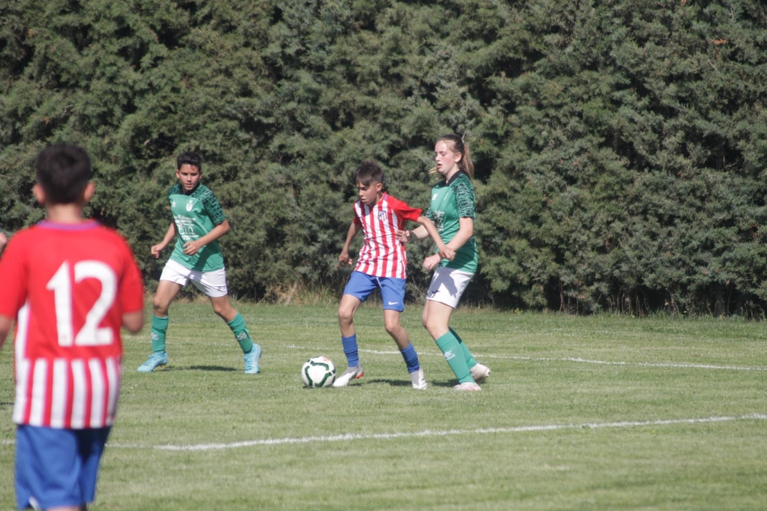 Fotos: I Trofeo Ibérico ‘Villa de Valverde’ (IV)