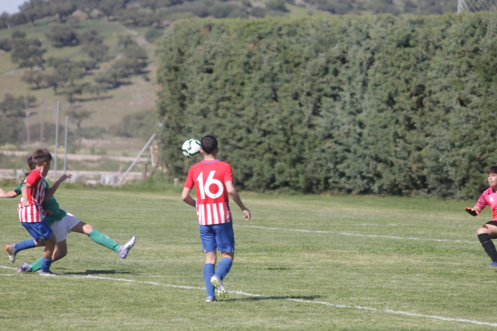 Fotos: I Trofeo Ibérico ‘Villa de Valverde’ (IV)