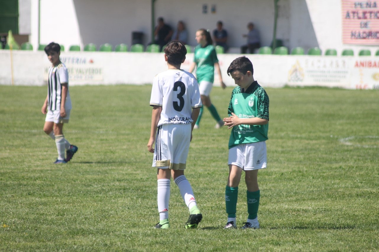 Fotos: I Trofeo Ibérico ‘Villa de Valverde’ (VI)