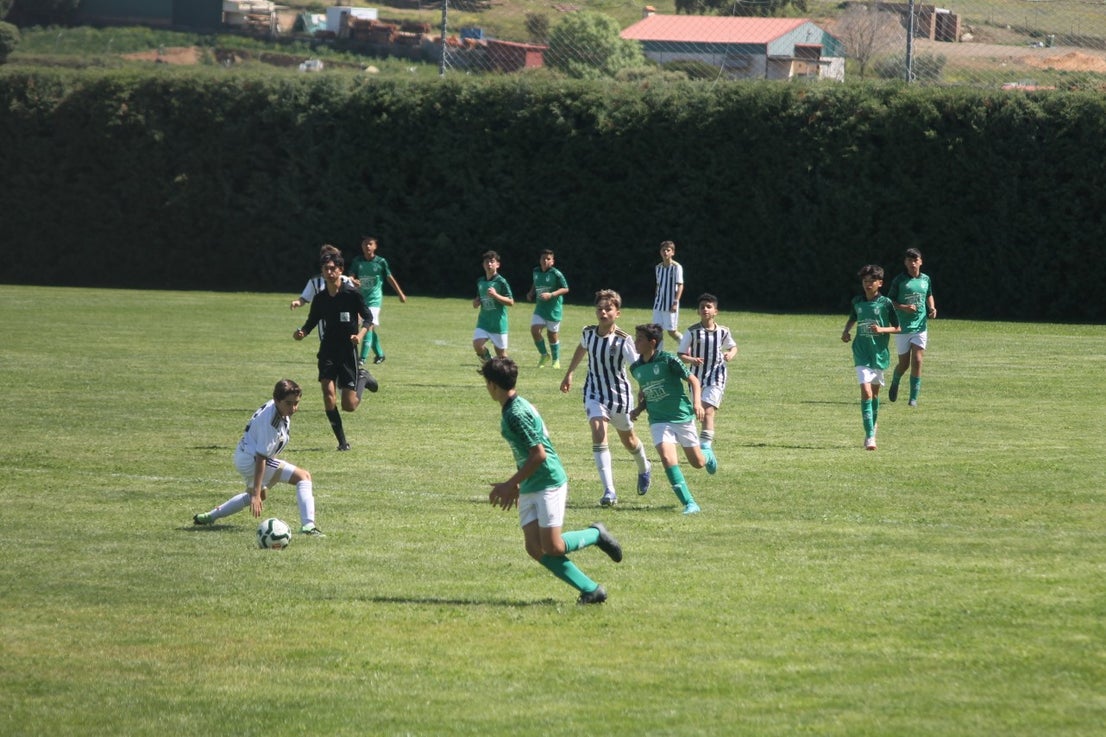 Fotos: I Trofeo Ibérico ‘Villa de Valverde’ (VI)
