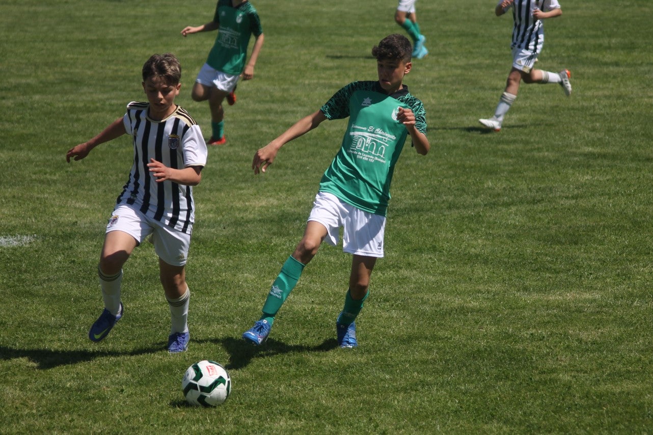 Fotos: I Trofeo Ibérico ‘Villa de Valverde’ (VI)