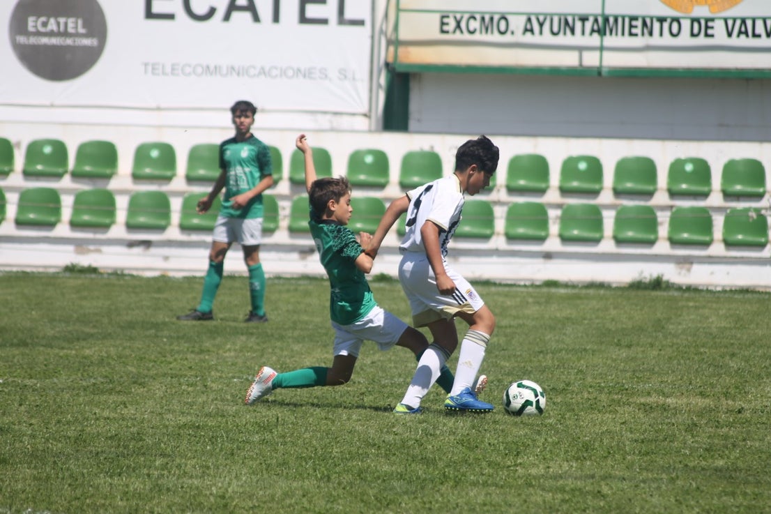 Fotos: I Trofeo Ibérico ‘Villa de Valverde’ (VI)