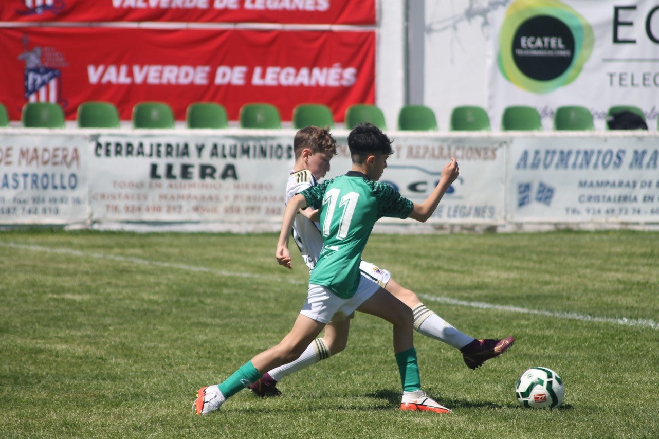 Fotos: I Trofeo Ibérico ‘Villa de Valverde’ (VI)