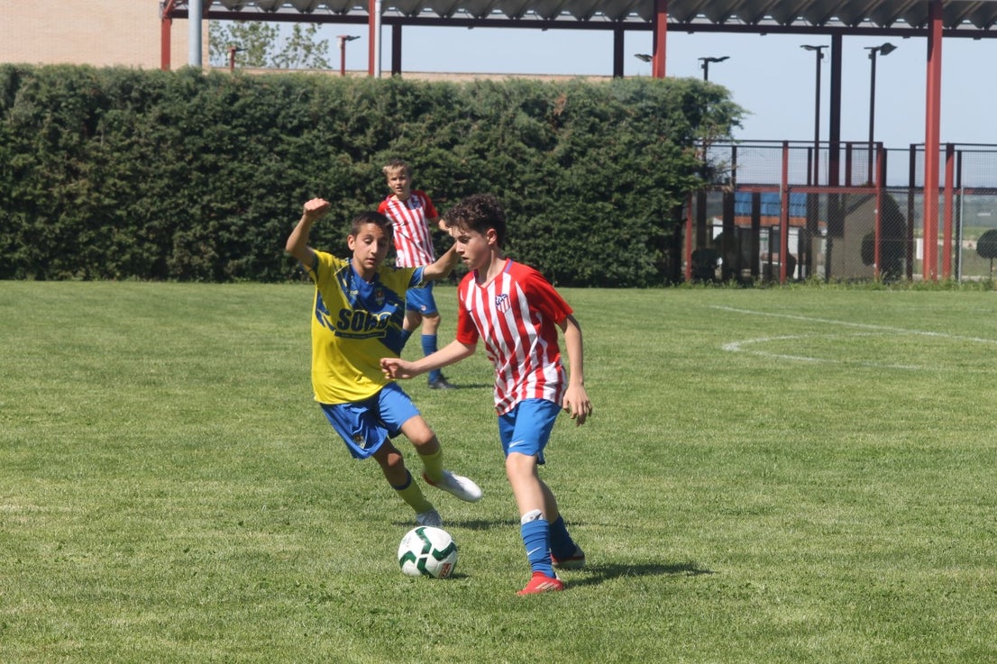 Fotos: I Trofeo Ibérico ‘Villa de Valverde’ (VII)