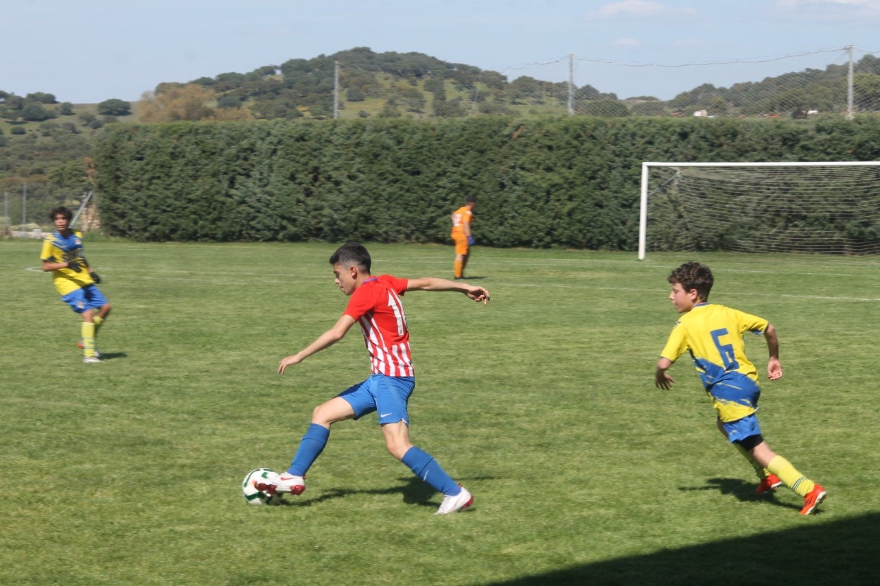 Fotos: I Trofeo Ibérico ‘Villa de Valverde’ (VII)