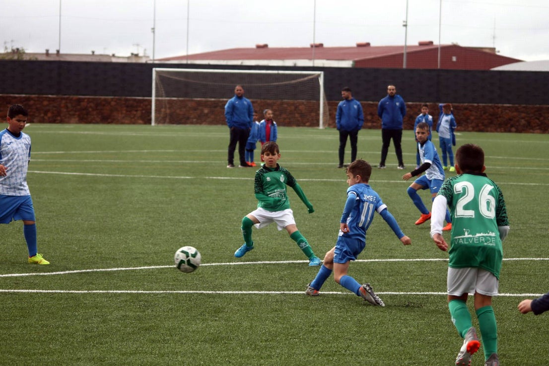 Fotos: Benjamines EMD Valverde – San Roque B