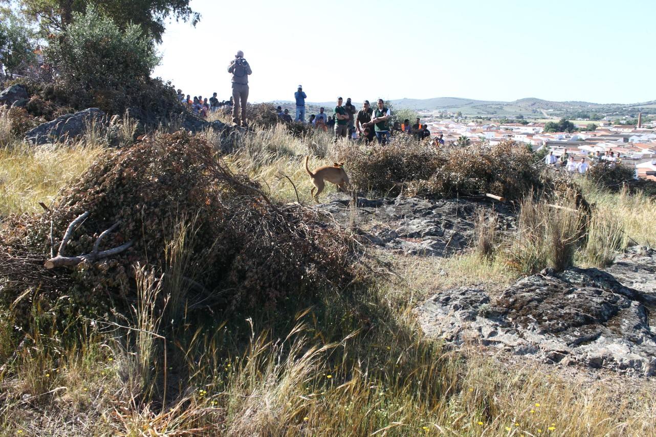 Fotos: VII Día del Cazador