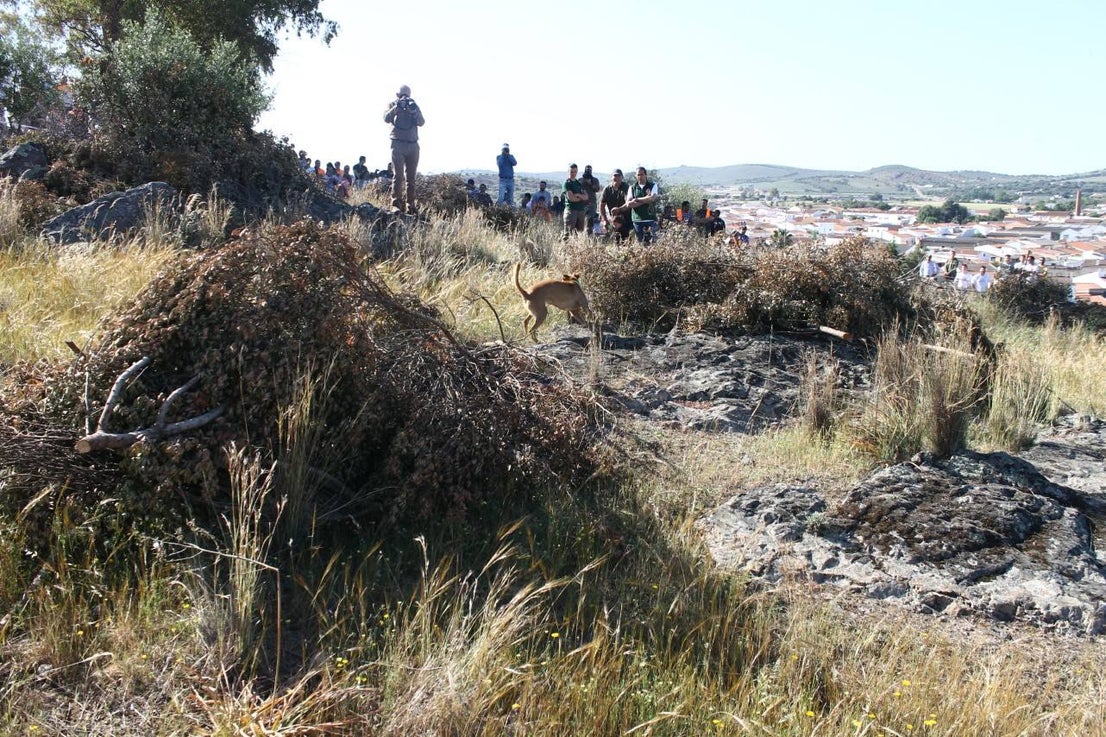 Fotos: VII Día del Cazador