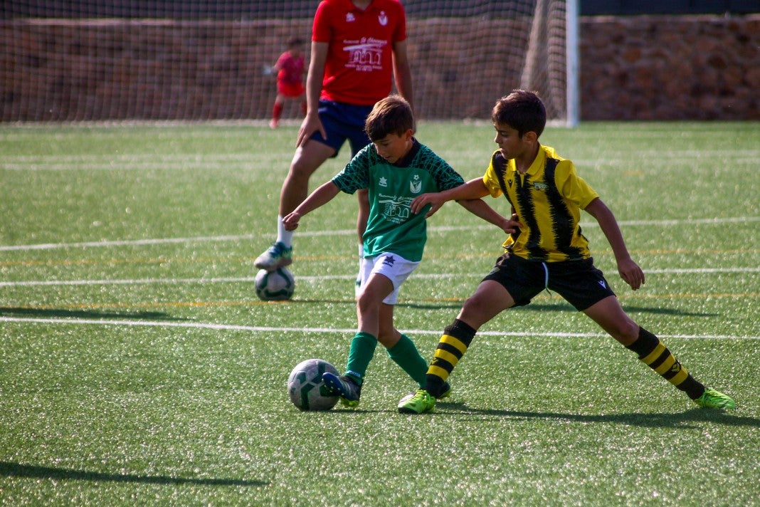 Fotos: Alevines A EMD Valverde - Escuela Guadalupe