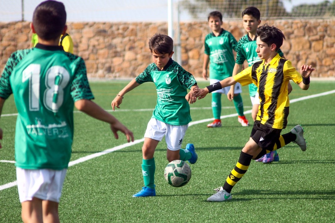 Fotos: Alevines A EMD Valverde - Escuela Guadalupe