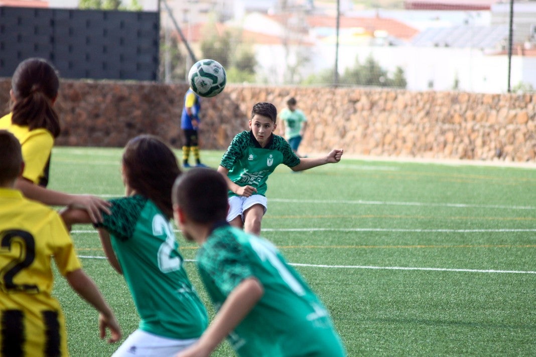 Fotos: Alevines A EMD Valverde - Escuela Guadalupe