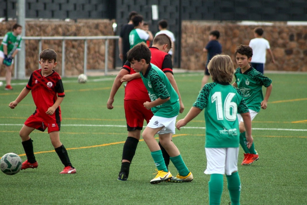Fotos: Alevines B EMD Valverde – AD Hispanolusa
