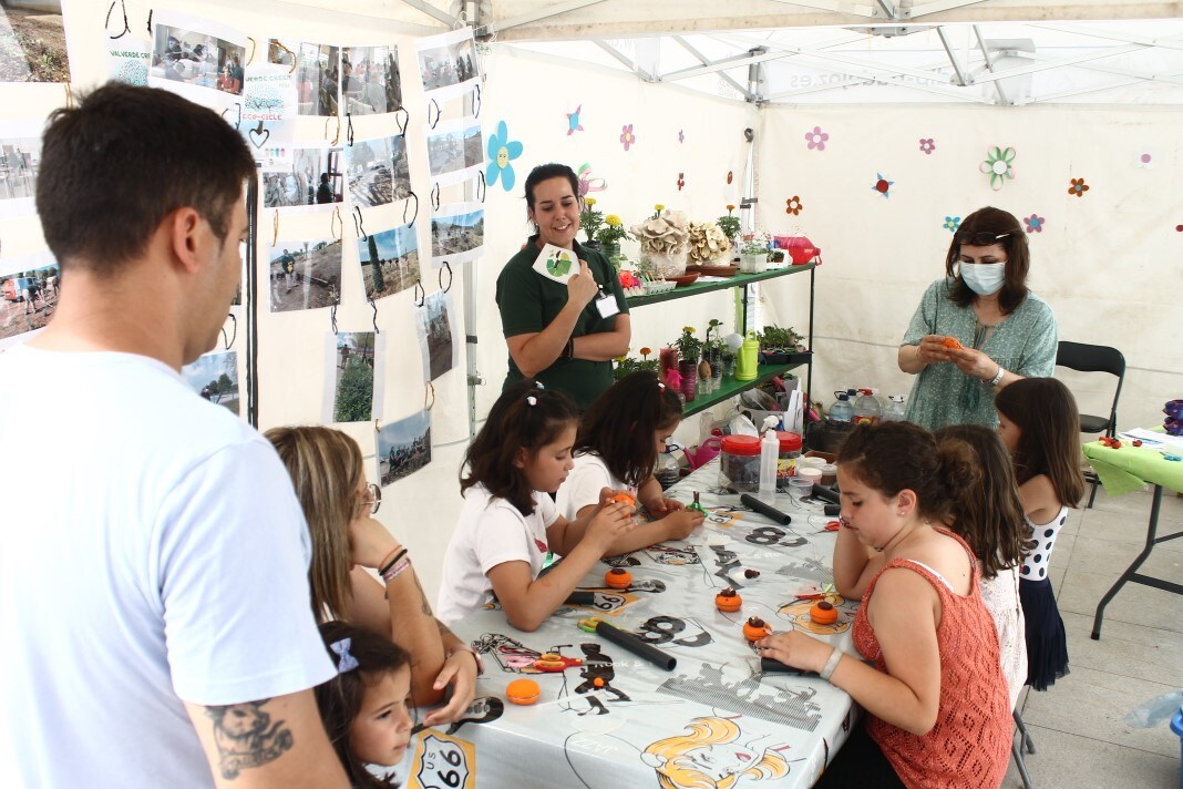 Fotos: XI Vive la Trashumancia y III Feria del Queso Artesano (III)